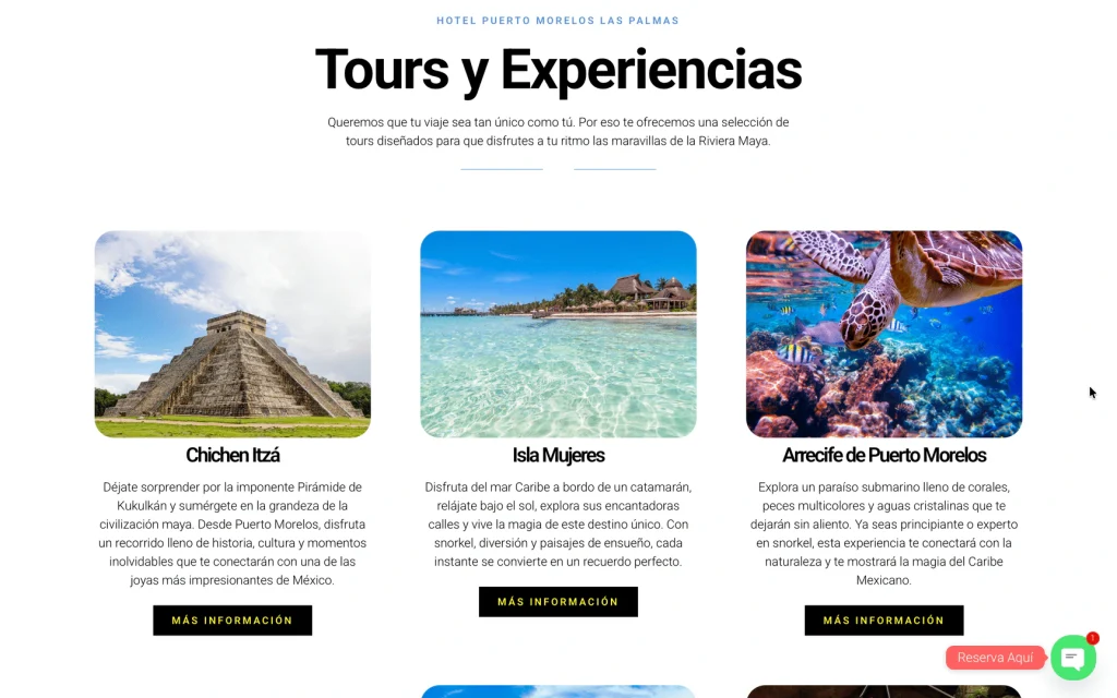 Hotel las Palmas Tours