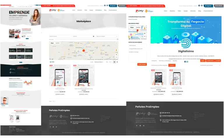 Peñoles ProEmpleo Sitio Web Capturas